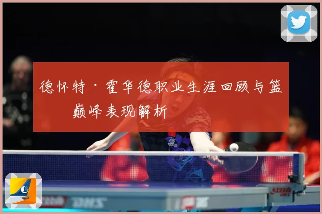 德怀特·霍华德职业生涯回顾与篮球巅峰表现解析