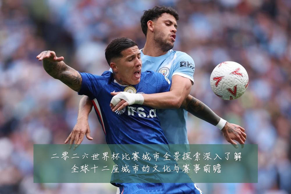 二零二六世界杯比赛城市全景探索深入了解全球十二座城市的文化与赛事前瞻